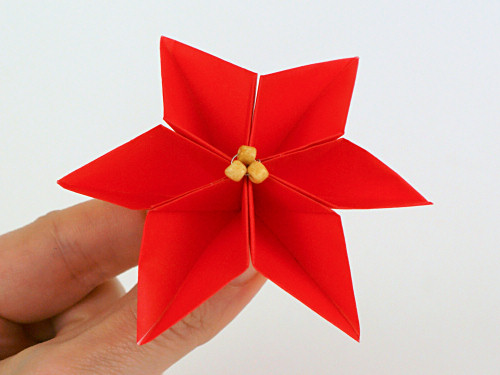 گل سرخ ساده و زیبا