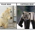 خرس قطبی و خرس دکارتی