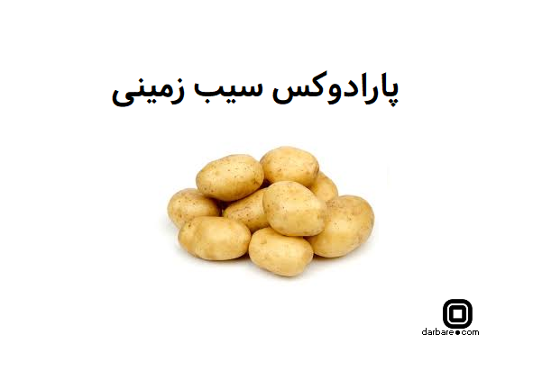 پارادوکس سیب زمینی