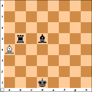 شاه سفید را در کجای صفحه می‌توان گذاشت؟