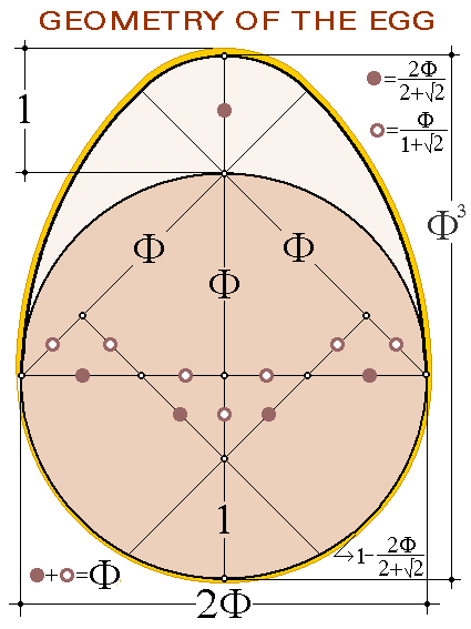 ساختار هندسی یک تخم مرغ ایده آل و عدد فی