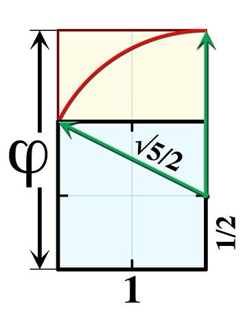 مشهورترین نمایش عدد فی یا نسبت طلایی